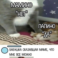 Близкие тебе ничего не должны
