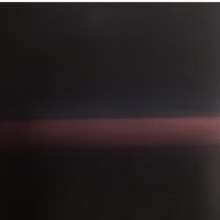 Ника Малязина