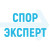 Спор Эксперт