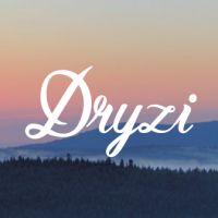 Dryzi - социальная сеть