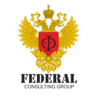 FEDERAL CONSULTING GROUP