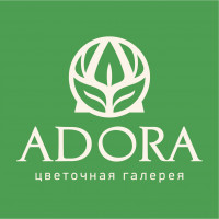 ADORA Новокузнецк