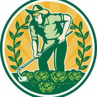 Фермерские продукты