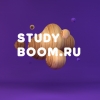 studyboom.ru