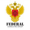 FEDERAL CONSULTING GROUP