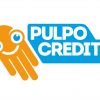 PulpoCredit