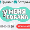 Зоогостиница Уменясобака