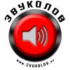 ЗВУКОЛОВ