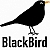 BlackBird Tax Consulting
