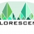 Efflorescence Trade Ltd