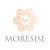Moresise Financial Solutions