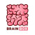 Brainbox
